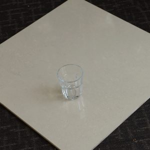 ZLP6182P China Ash Polished 600x600